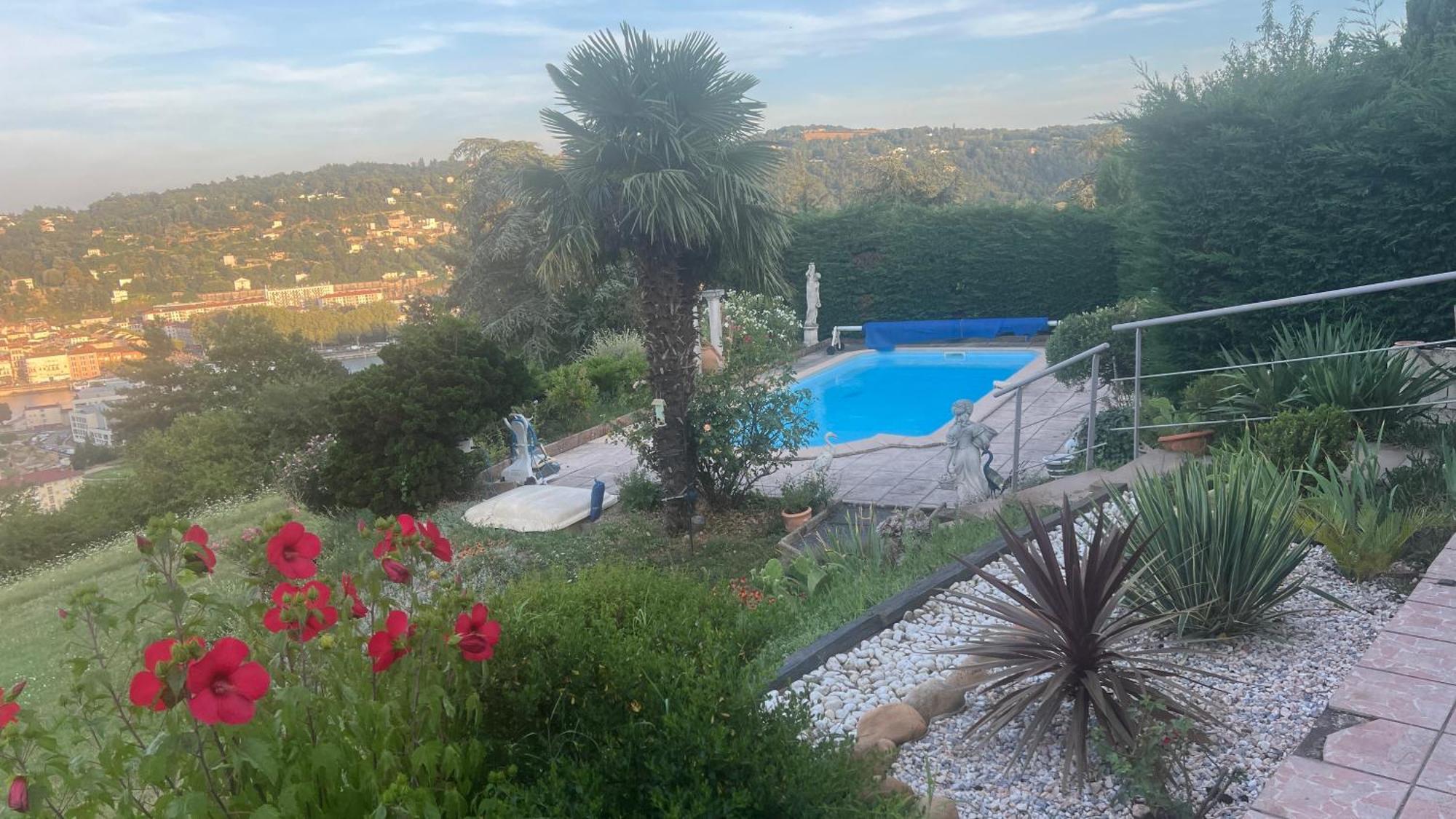 La Colombe Daire Vienne  Dış mekan fotoğraf