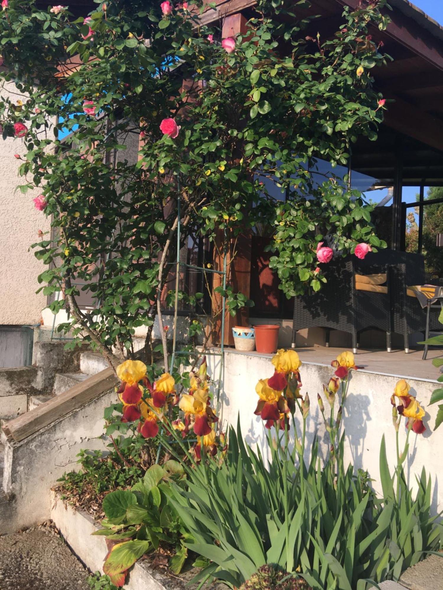 La Colombe Daire Vienne  Dış mekan fotoğraf