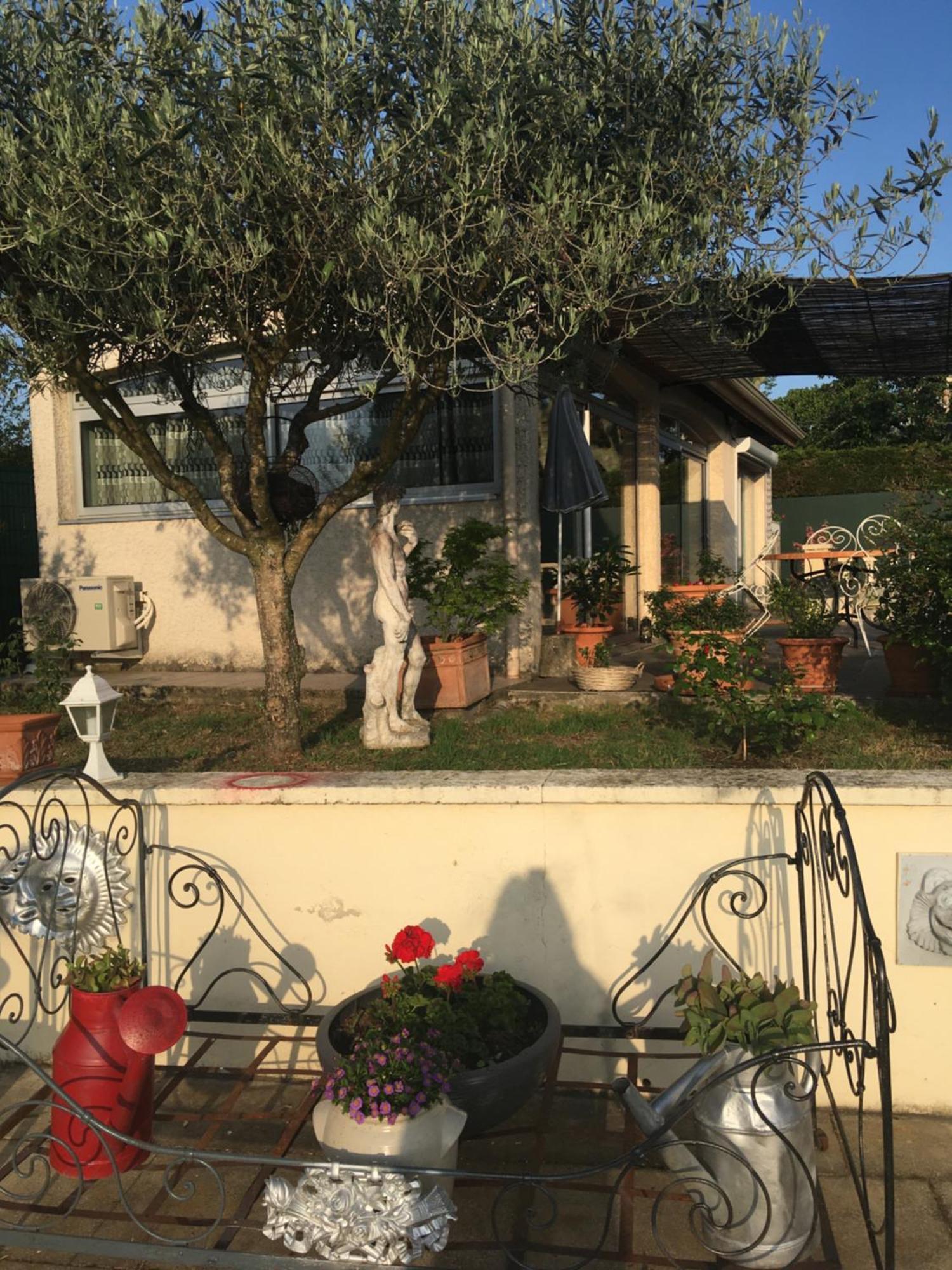 La Colombe Daire Vienne  Dış mekan fotoğraf
