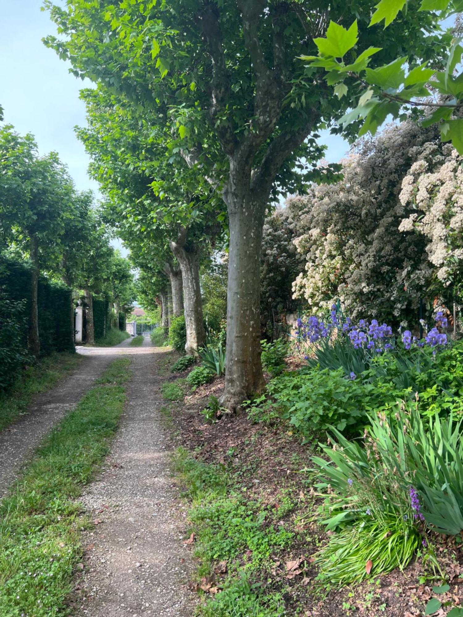 La Colombe Daire Vienne  Dış mekan fotoğraf