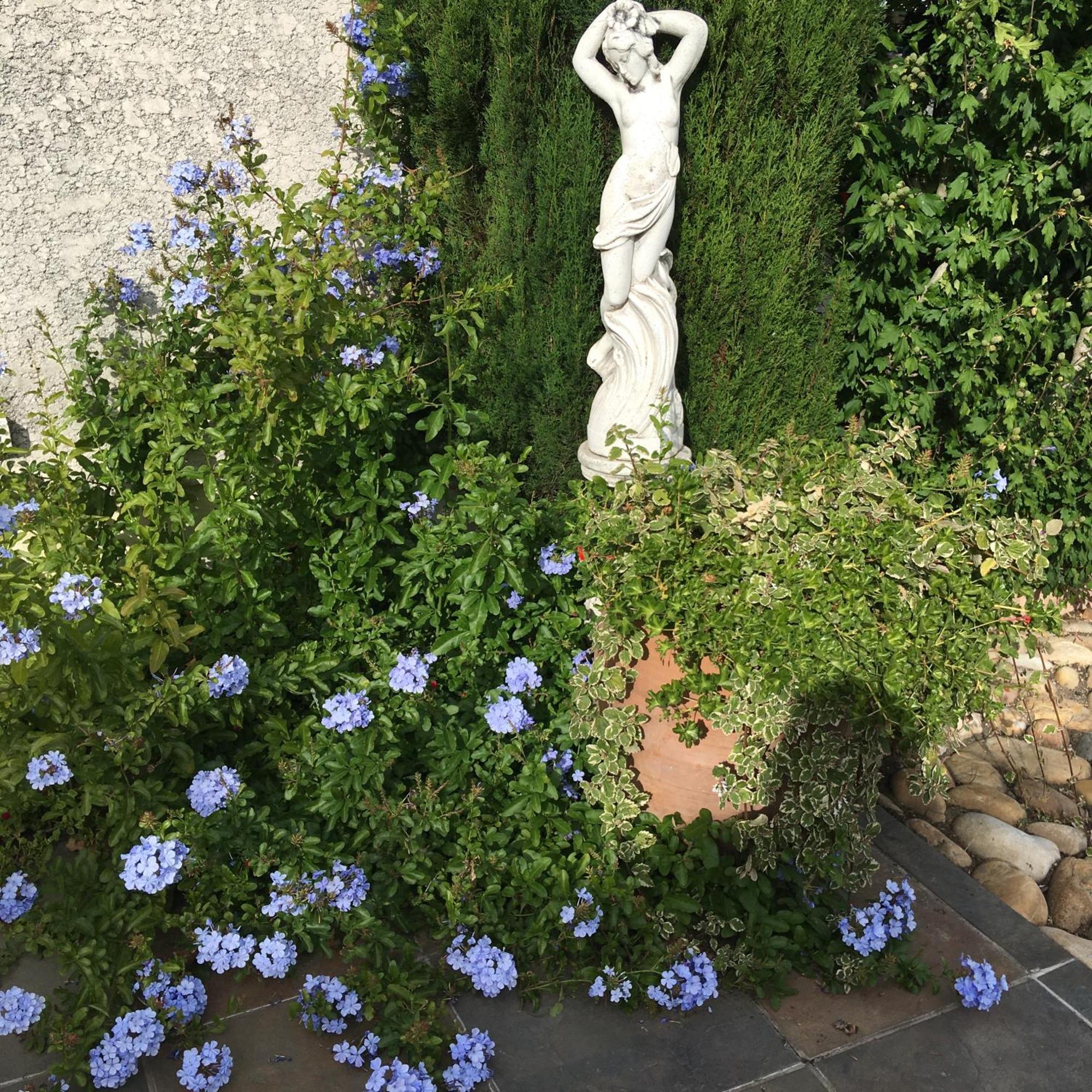 La Colombe Daire Vienne  Dış mekan fotoğraf